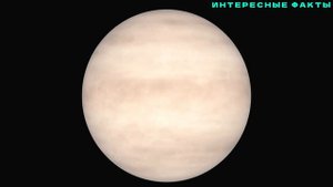 ✔️ИНТЕРЕСНЫЕ ФАКТЫ О ВЕНЕРЕ.