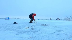Ловля корюшки/Южная дамба/Финский Залив