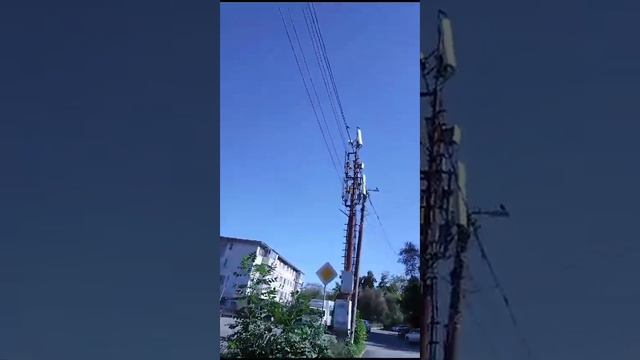 Родители спасайте своих детей. 18 школа г. Владивосток! смотреть онлайн