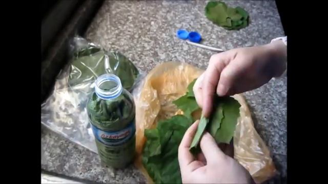 3 СПОСОБА ЗАГОТОВКИ виноградных листьев смотреть онлайн