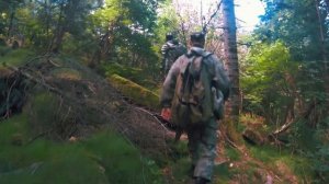 «Большехехцирский заповедник» | Уникальная тайга Хабаровска, царство бабочек и следы Дерсу Узала