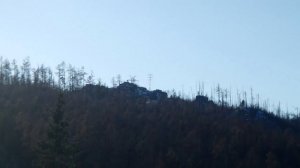 Одиночный зимний поход в тайгу, 29км, зимовьё, фотоловушка, тяжелый поход!