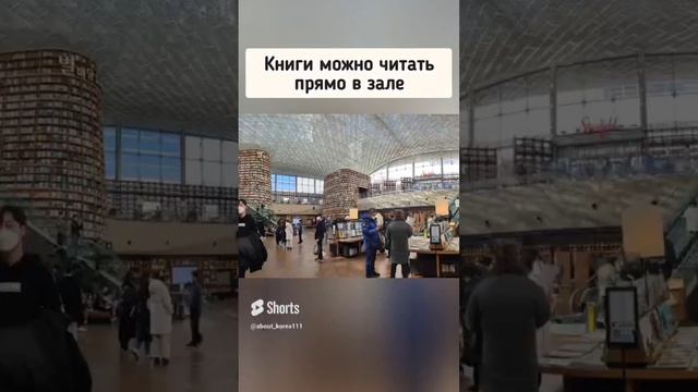 Волшебная библиотека в Южной Корее: Путешествие в лабиринт знаний #южнаякорея #сеул