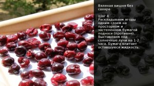 Вяленая вишня без сахара . Рецепт от шеф повара Максима Григорьева