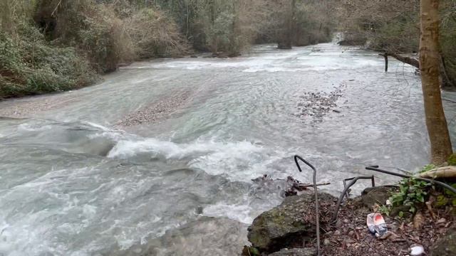 Река Жоэквара. Жоэкварское ущелье. Гагра. Абхазия. Март 2023 смотреть онлайн