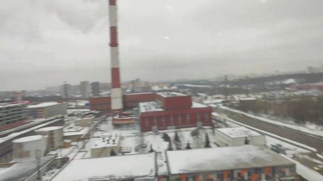 Киси Миси и Киси Писи 🥺♥️