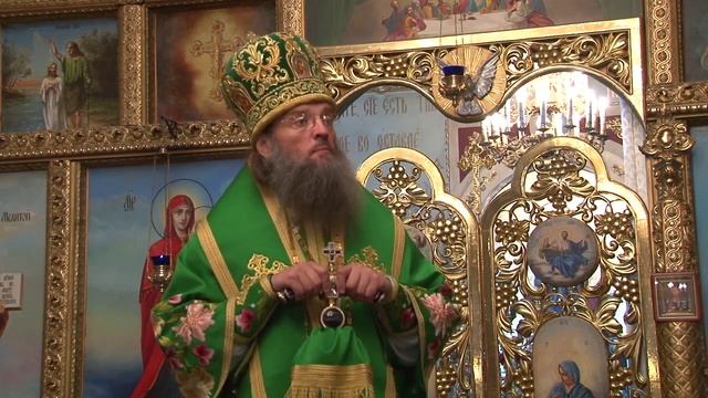 Слово владыки в День Святой Троицы смотреть онлайн