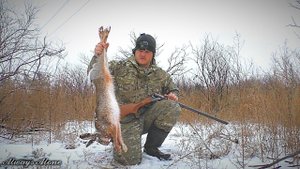 Охота на зайца. Закрыл сезон одним выстрелом. Тропление зайца. Иж-43