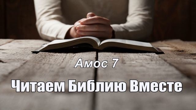 День 331 (Есф 2; Ам 7; Тит 1; Тит 2; Тит 3) смотреть онлайн