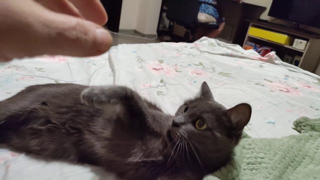 Милка скучает смотреть онлайн