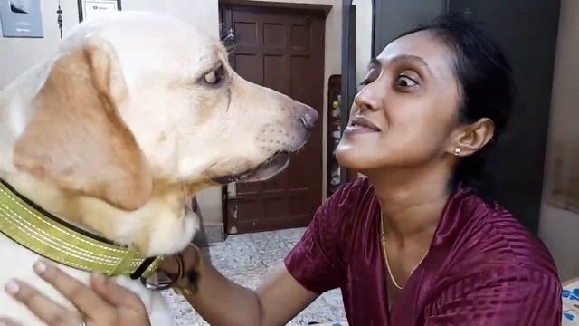 Me & my Coco. Coco approves Mum's new dress, by showing his love for Mum in his own way. Super love смотреть онлайн