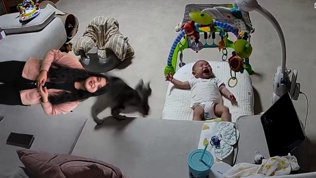 Хозяин помойки, борьба за шаурму и грустные песни | Такие дела смотреть онлайн