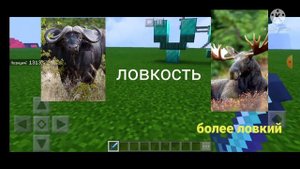 африканский буйвол против лося.buffalo vs moose