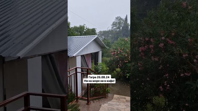 Гагра 26.08.24