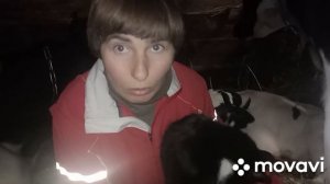 Чем кормить корову после отела. Как я кормлю корову.