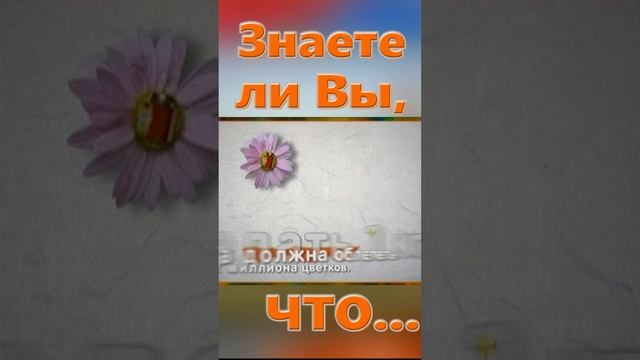 Знаете ли вы, Что? Мёд