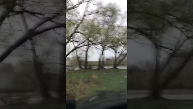 Проходимость лады гранты
