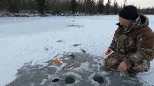 ДОЛГОЖДАННЫЙ ПЕРВЫЙ ЛЁД! НАРВАЛИСЬ НА ОКУНЯ И ЩУКУ В ПЕРВОЛЕДЬЕ! ЗИМНЯЯ РЫБАЛКА ЯМАЛ НАЧАЛО ЕСТЬ)!