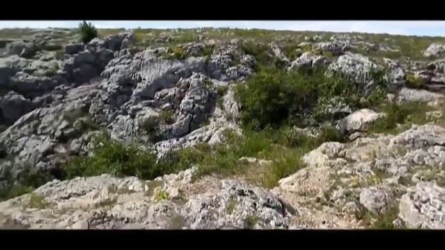 Раса Драконов Тайны Чапман Документальные фильмы HD 26 01 2017 смотреть онлайн