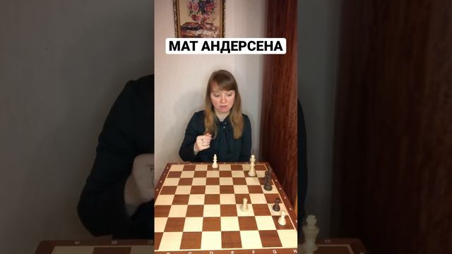 Мат Андерсена