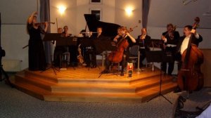 Riccardo Drigo - Valse Boston - Salonorchester Rêverie musicale