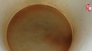 Артемия в домашних условиях  Простой способ.