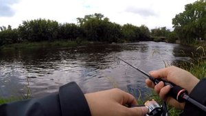 Спиннинг за 55 тыс. рублей. Обзор Graphiteleader Super Finezza Esagonale 732UL-SS