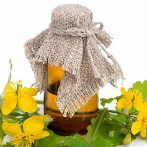 НАСТОЙКА ЧИСТОТЕЛА НА СПИРТУ.mp4