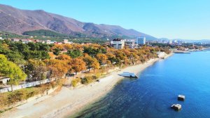 ГЕЛЕНДЖИК. ТРИ ДНЯ ДО ЗИМЫ. ДЕРЕВЬЯ ЦВЕТУТ И ЛЕТАЮТ ПЧЕЛЫ. ПОГОДА 28.11.2022