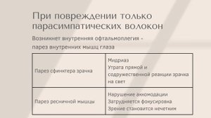 Черепные нервы. Глазодвигательный нерв III