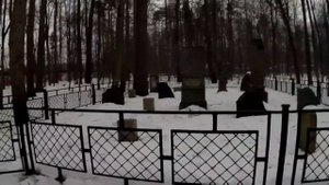 Москва trip. Тимирязевский парк.
