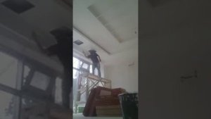 покраска потолка компрессором