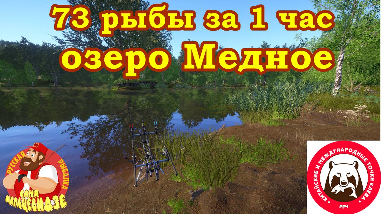 Разлавливаю новую-старую точку на Медном озере. Русская Рыбалка 4. смотреть онлайн