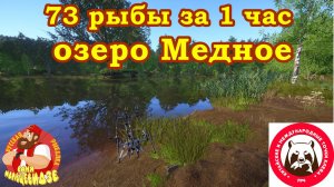 Разлавливаю новую-старую точку на Медном озере. Русская Рыбалка 4.