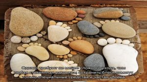 Накладная раковина: плюсы, минусы, аспекты выбора (24 фото)