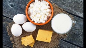 Система питания карнивор(хищник). Вред клетчатки.+ 2 забавные истории из жизни!