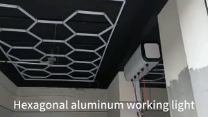 2027494215387.PNM.mp4