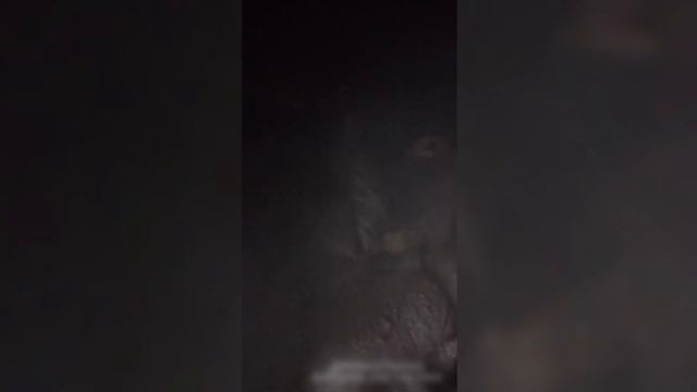 «Какая третья линия обороны?» — боевики ВСУ ответили на фантазии министра обороны Украины