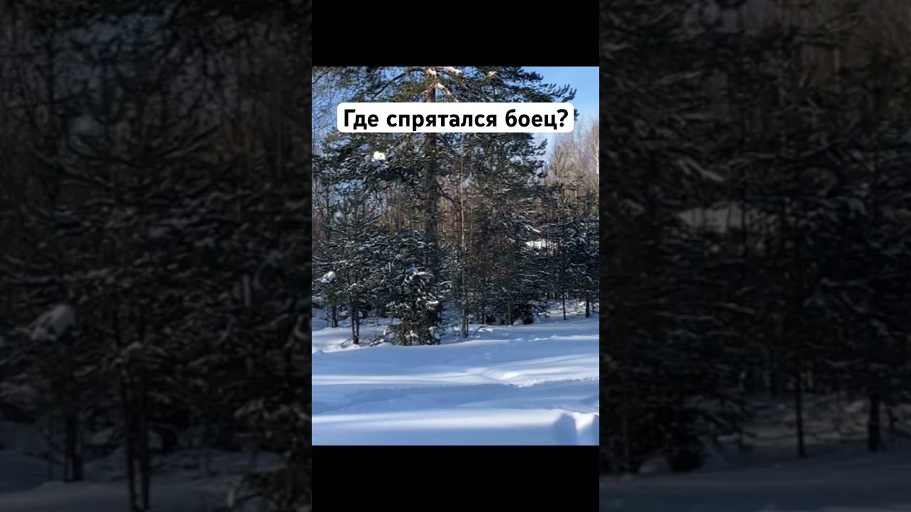 Найди замаскированных часть 8 #airsoft #fake #alpine смотреть онлайн