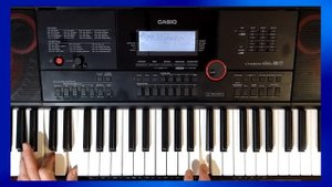 Демонстрация универсального диско стиля Глупые снежинки Стиль для синтезатора Casio CT-X3000-5000.