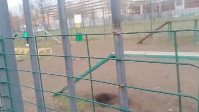 Площадка для "выгула"собак в Москве смотреть онлайн