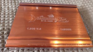 Обзор DL Audio Barracuda 1.900