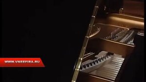 Интервью Владимира Спесивцева