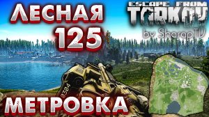 Стрелок от Бога ? 125 Метровка в ЛЕСУ | Гайд по Позициям