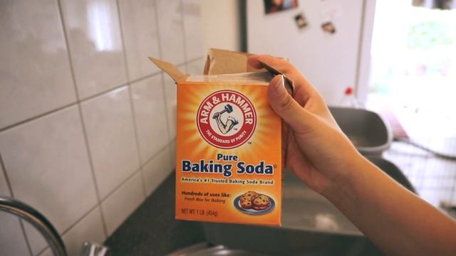 Updates about bonding & cleaning the bunny area! | Part 2 | The Honey Bunny House смотреть онлайн