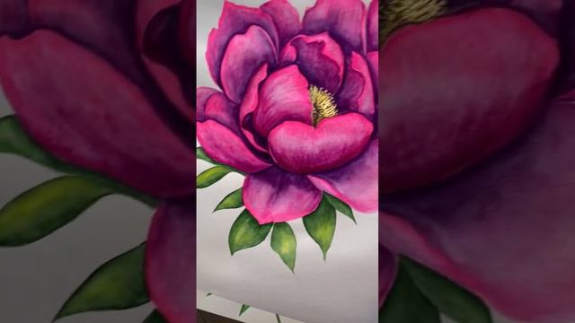 Пионы.Розовые Пионы.Розовые цветы. Flowers art.Art pink.Pion