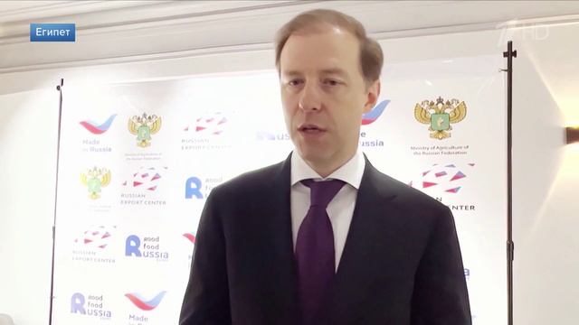 Глава Минпромторга РФ и президент Египта обсудили создание промзоны России в районе Суэцкого канала.