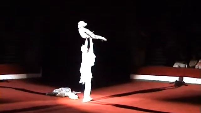 ПТИЦЫ 4.ДАША. смотреть онлайн