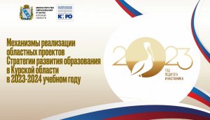 Механизмы реализации областных проектов Стратегии развития образования в Курской области в 2023-2024
