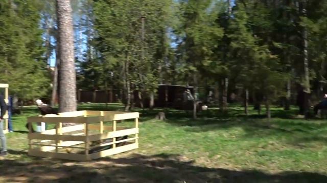 Выездной контактный зоопаркI8(965)380-13-11 Москва